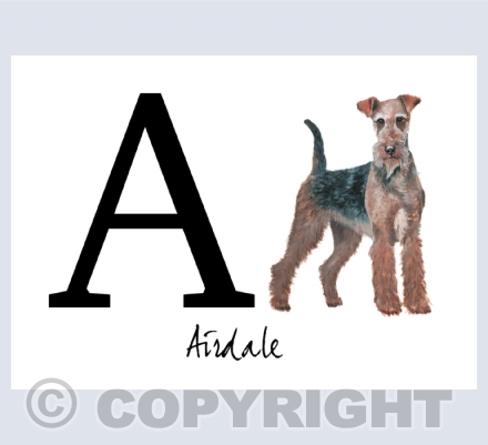 A to Z of Dogs