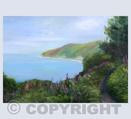 Sea and Coast 