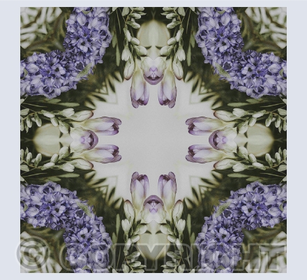 Patterns