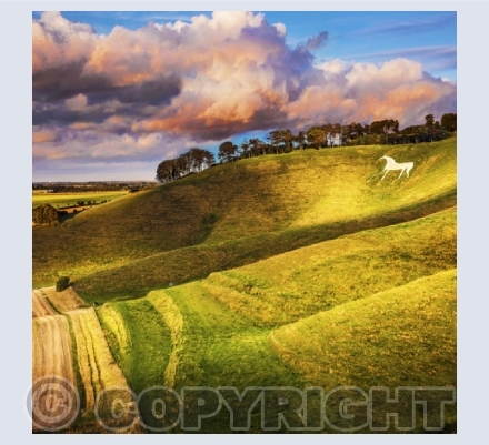 Wiltshire Landscapes