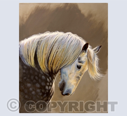 Horses