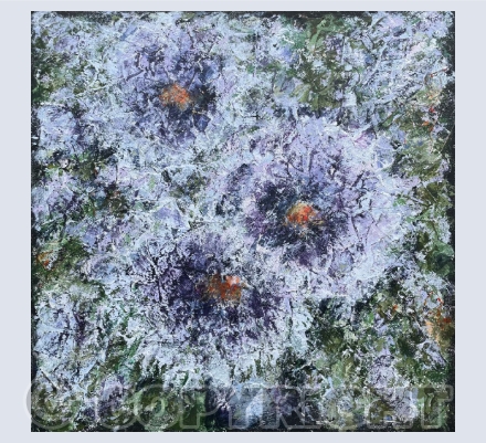 Beautiful Blooms