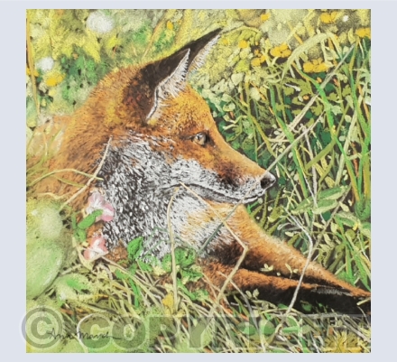 Animals