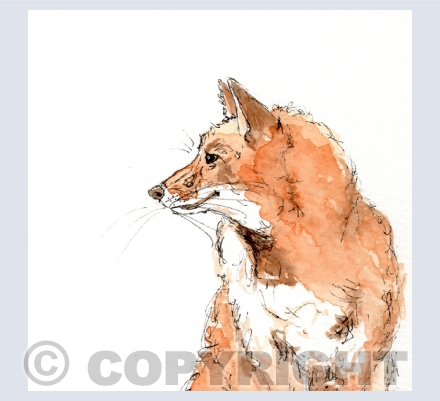Watercolour Images