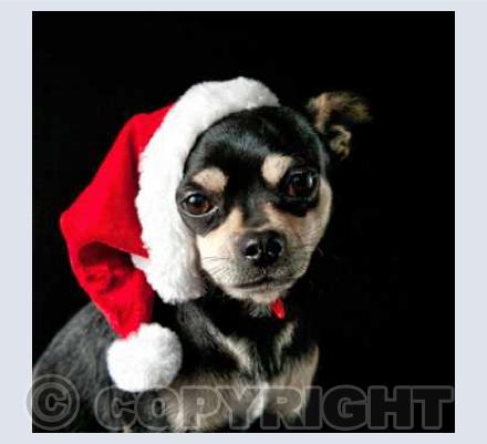 Christmas