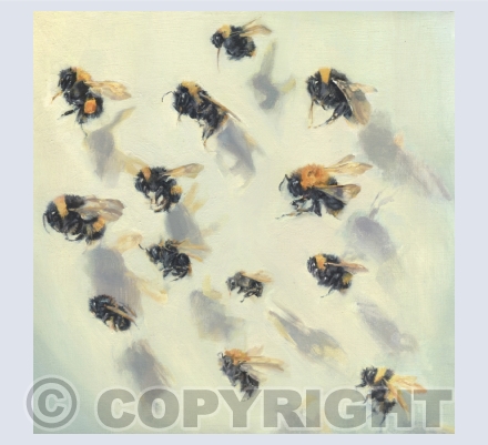 Telling Bees