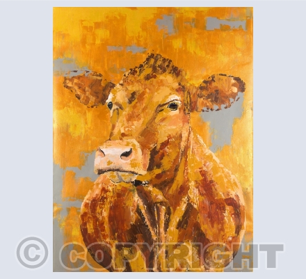 Cows