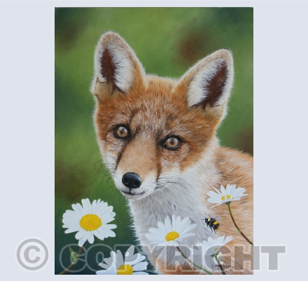 Wildlife