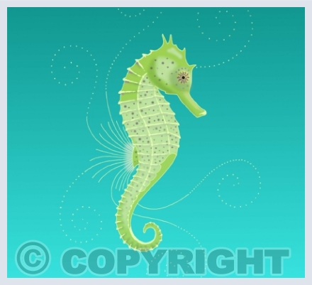 Seahorse Cards
