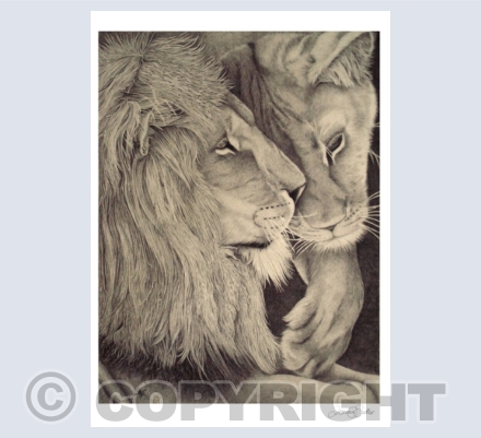 Wild Animals