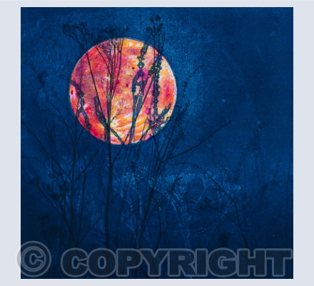 Moons