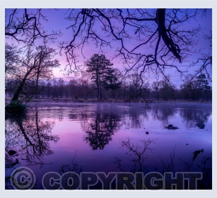 Landscape