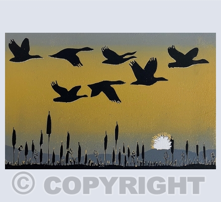Animals and Birds