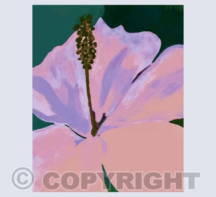 Flora and Fauna Paintings