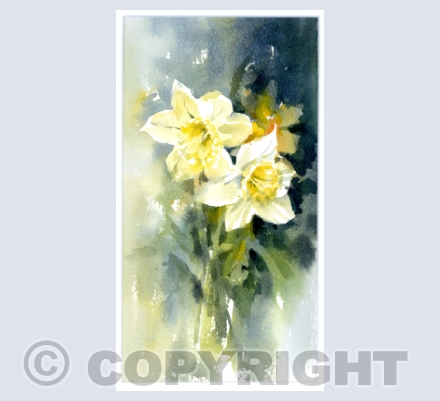 Cards