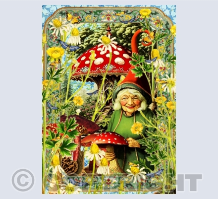 Fairies, Pixies, Gnomes & Water Nymphs