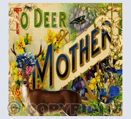 Mothers Day / Fathers Day