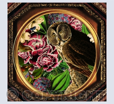 Flora & Fauna