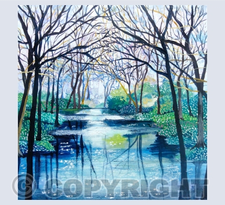 Landscapes 
