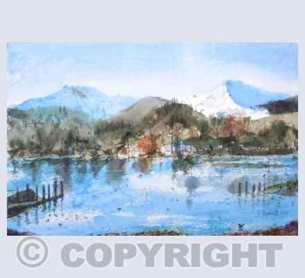 standard landscape cards