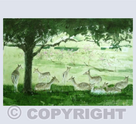 Animals