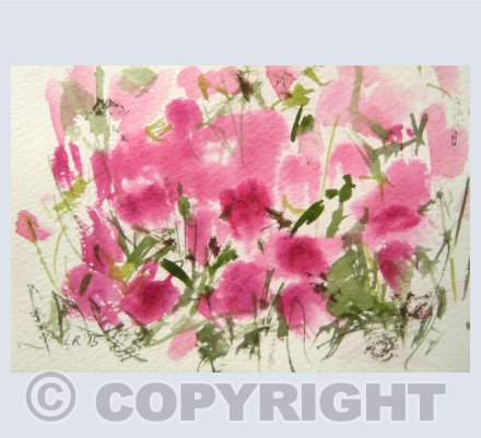Smaller cards
