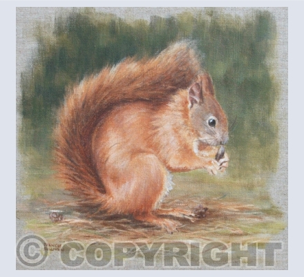 Wildlife