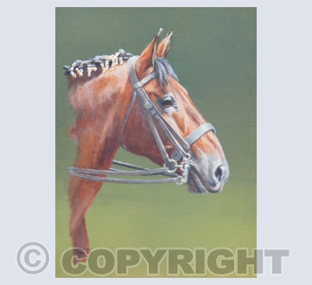 Horsey Cards