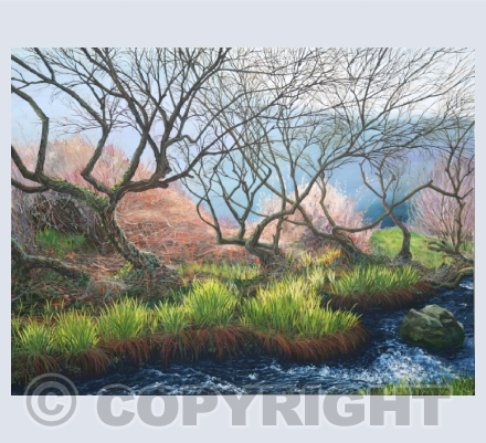 Cornish Landscapes