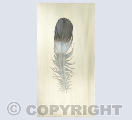 Feathers