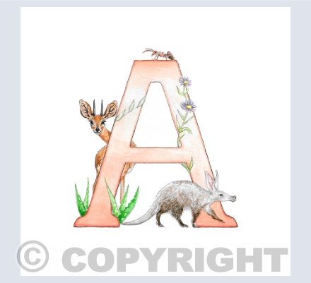 Alphabet Letters