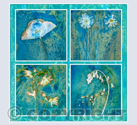 Botanical Cyanotypes