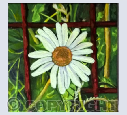 Flowers & Plants