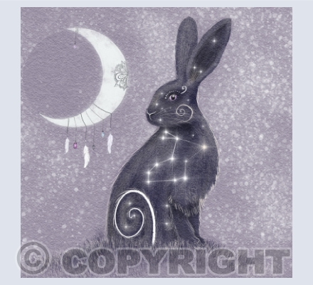 Magical Animal Constellations