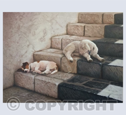 Animals