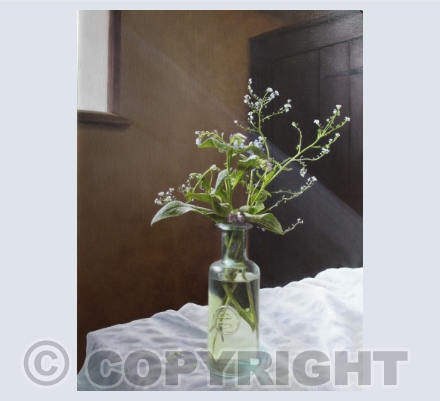 Plants & Flowers