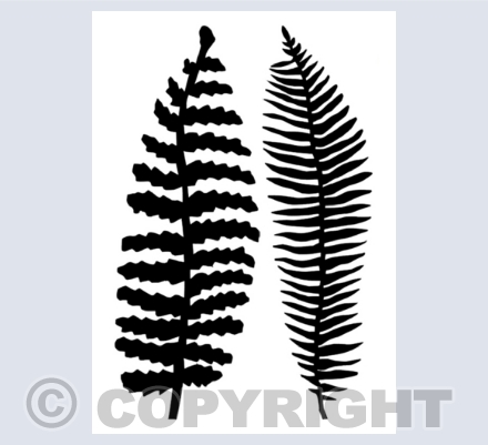 Fern Collection