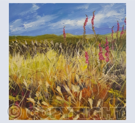 Landscapes