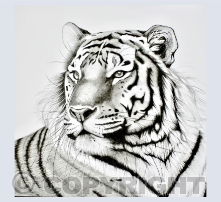 Graphite - Black and White