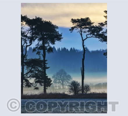 Landscapes
