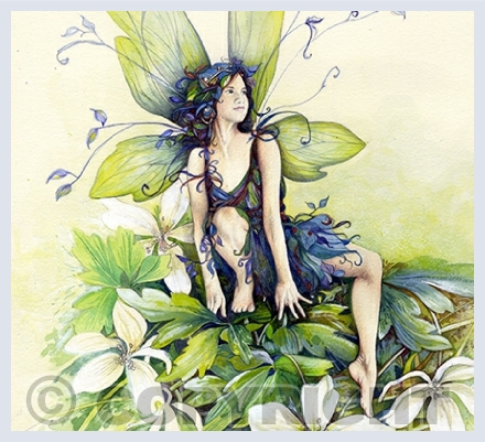Fairies