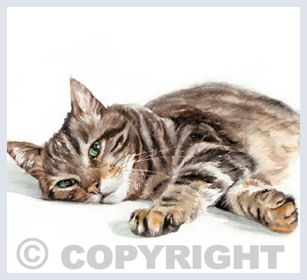 Cats