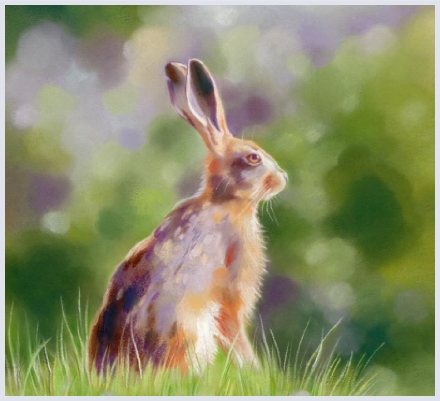 Hare and Rabbit cards