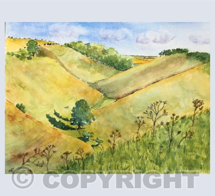 Landscapes