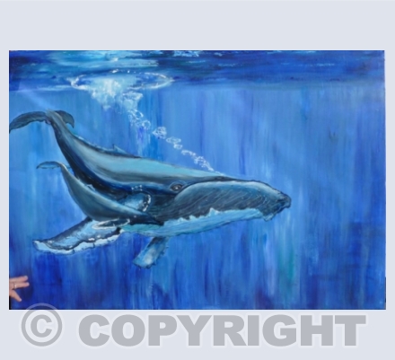 Whales and Dolphins