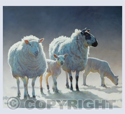 Animals