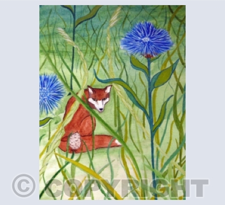 Foxes
