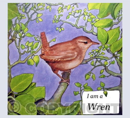 Wren