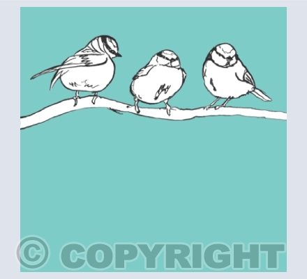 Birds