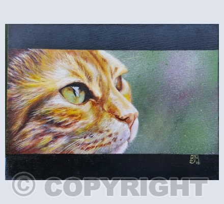 cats